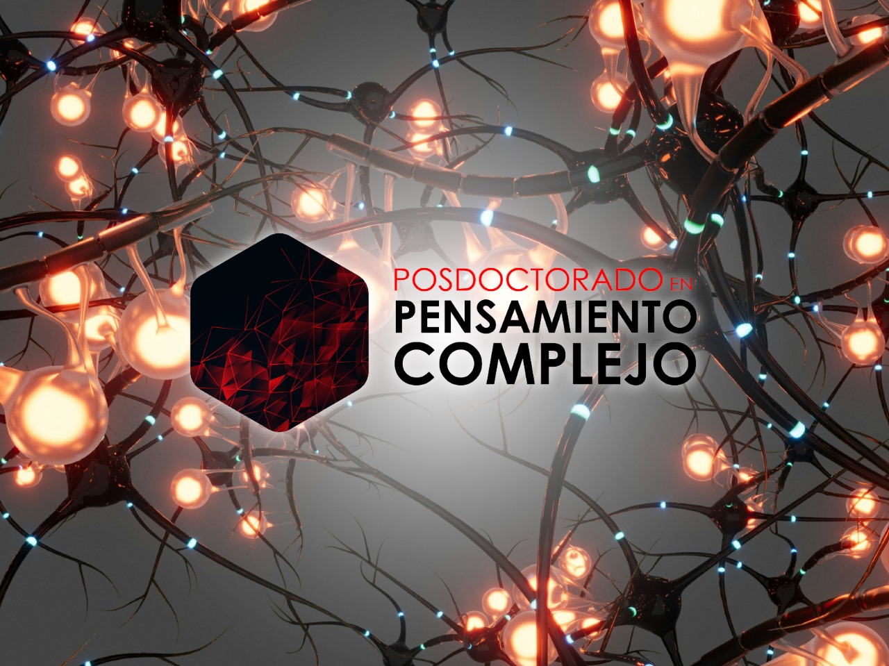 Posdoctorado en PensamientoComplejo